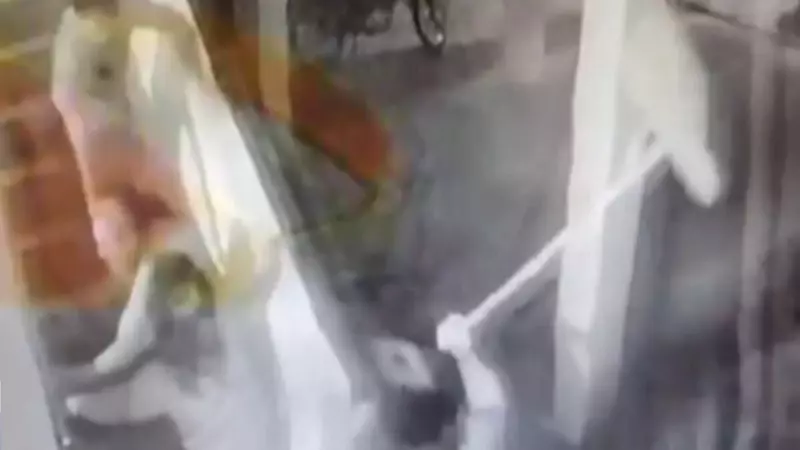Idosa de 77 anos apanha de vizinha com vassoura em condomínio da Ilha do Governador — veja o vídeo chocante