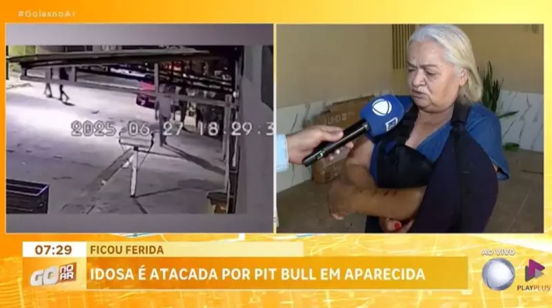 Idosa é atacada por pitbull que fugiu de casa em Goiás — veja detalhes