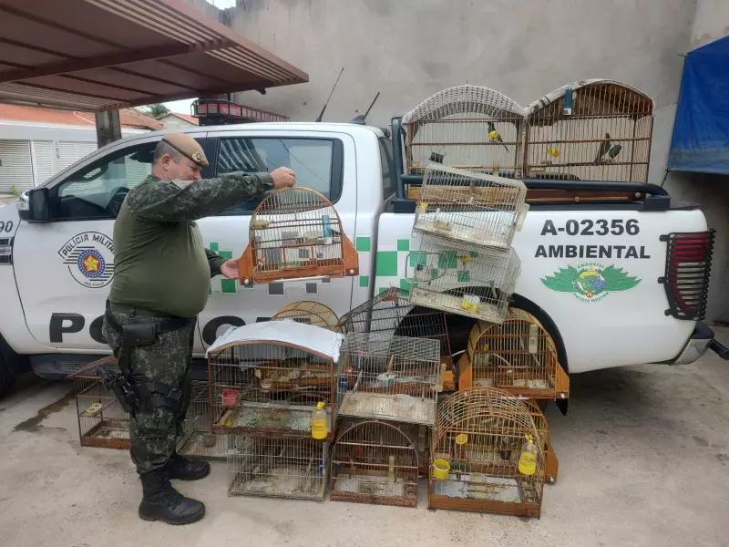 Idoso é multado em R$ 95 mil por manter 19 aves silvestres em cativeiro em Lucélia
