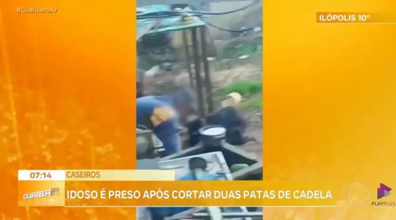 Idoso é preso no RS após mutilar cadela de forma cruel — caso choca moradores