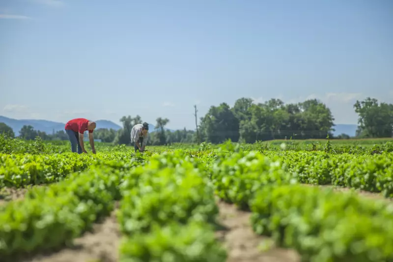 IFPA impulsiona agricultura familiar no Oeste do Pará com emissão do CAF