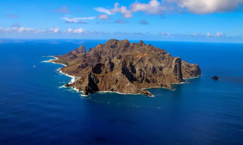 Ilha de Trindade: O impressionante renascimento da vegetação após anos de degradação