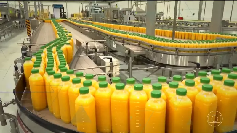 Imposto de Trump sobre suco de laranja brasileiro chega a 70% e ameaça empregos no Brasil