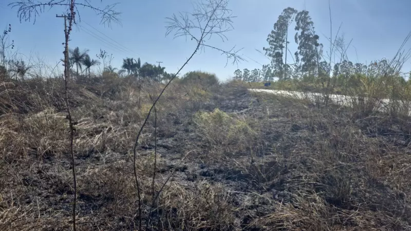 Incendiário é preso e multado em R$ 3 mil por queimada ilegal em Patrocínio (MG)