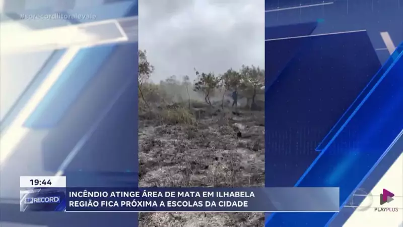 Incêndio atinge área de mata em Ilhabela, SP: veja imagens e saiba como ajudar