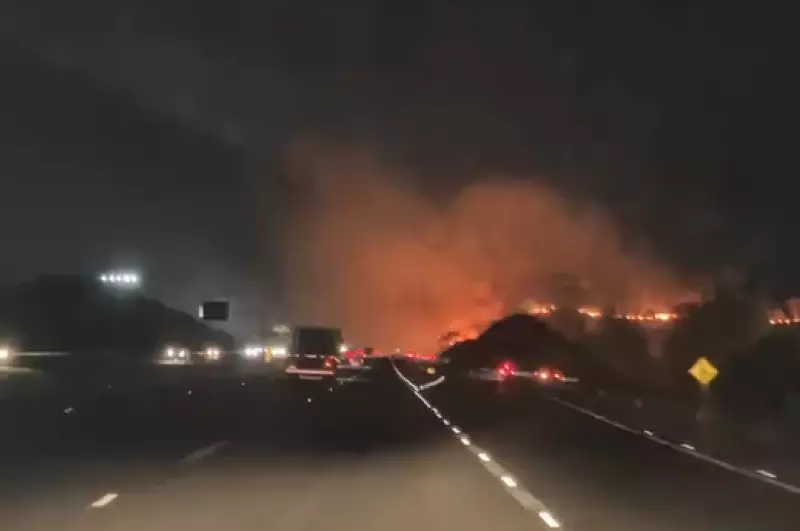 Incêndio atinge vegetação às margens da Rodovia Dom Pedro em Campinas e mobiliza bombeiros