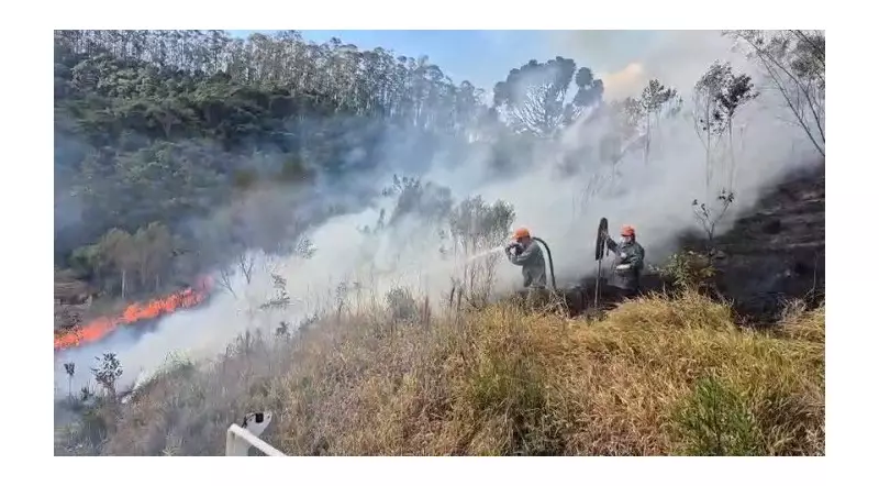 Incêndio de grandes proporções devasta área de mata em São Luiz do Paraitinga, SP