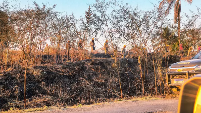 Incêndio de grandes proporções devasta mais de 20 hectares de vegetação em Rio Branco, Acre