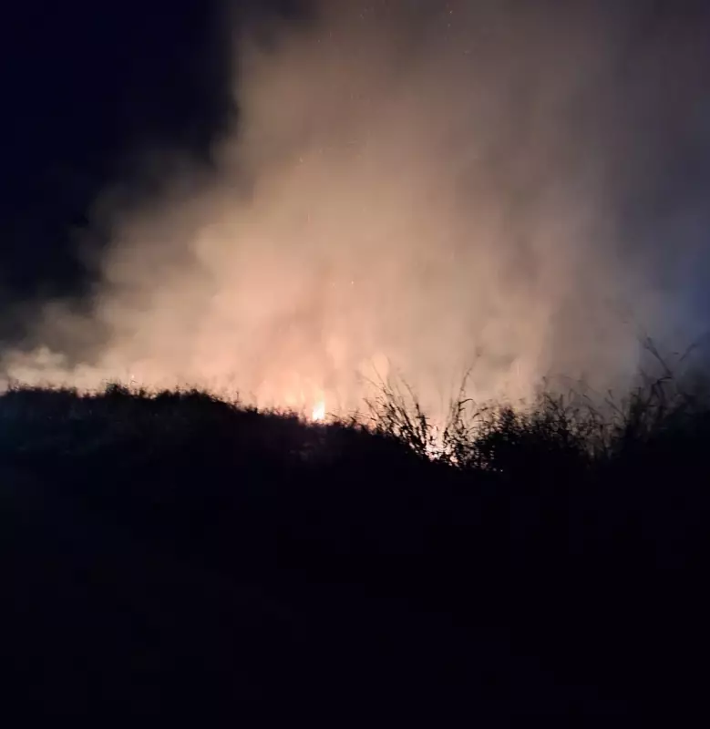Incêndio de grandes proporções devasta quase 600 metros de vegetação em Parapuã, SP
