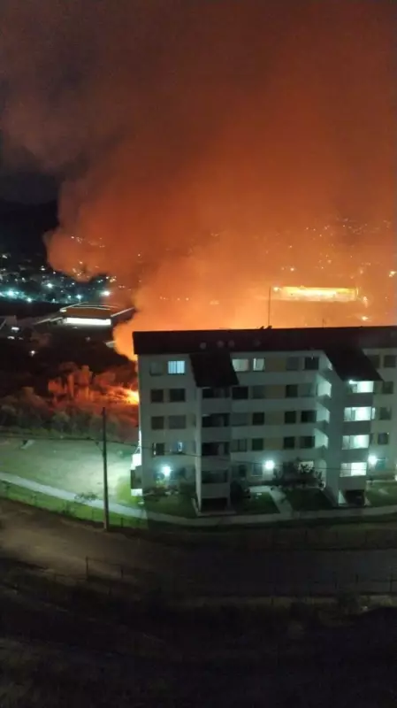 Incêndio em parque de BH ameaça condomínio próximo; veja vídeo impressionante