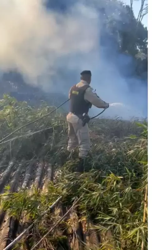 Incêndio em Santa Luzia: PMMG e Bombeiros em ação e policiais intoxicados pela fumaça