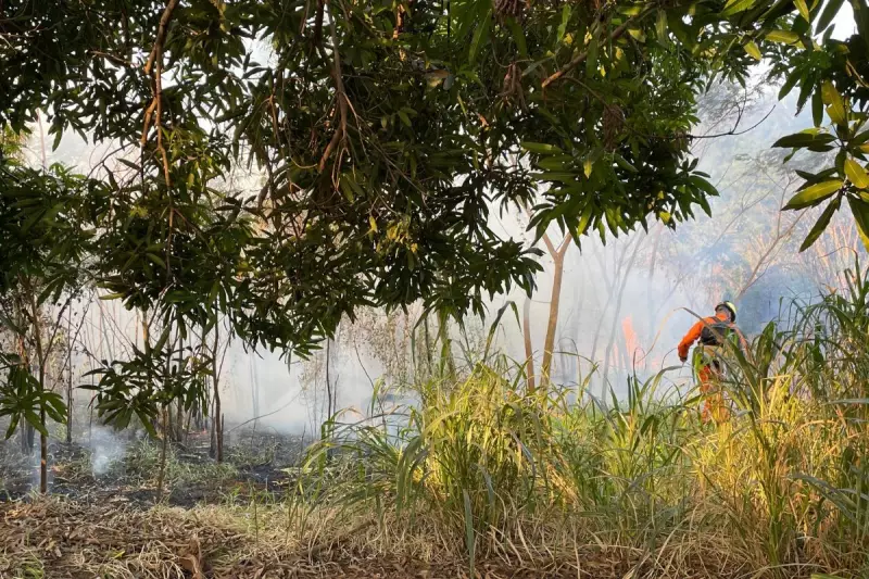 Incêndio em terreno baldio assusta moradores e cria caos em Campo Grande — Veja o vídeo impactante