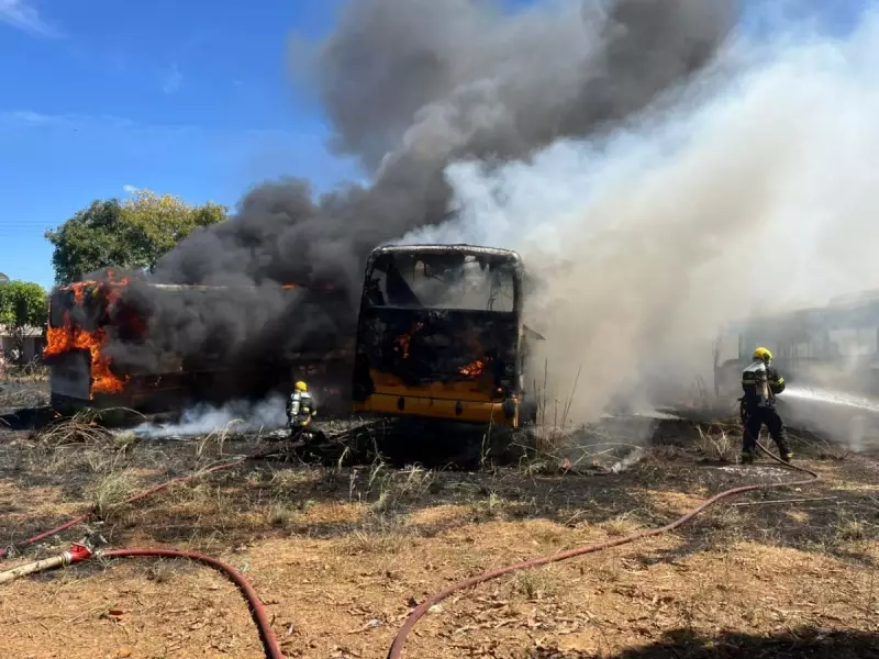 Incêndio em vegetação se alastra e destrói sucatas de ônibus em Palmas — veja imagens