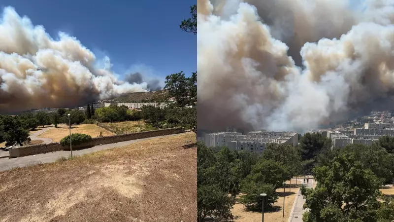 Incêndio florestal em Marselha: fogo consome vegetação e mobiliza bombeiros