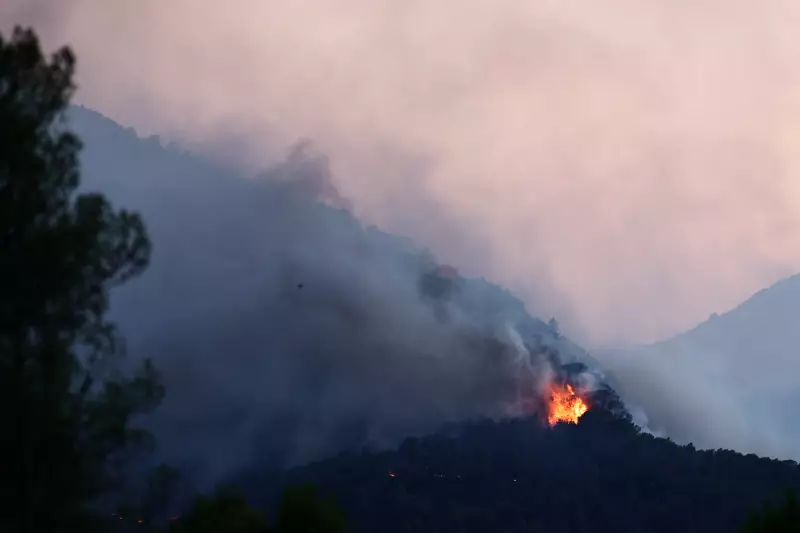Incêndio florestal na Catalunha obriga mais de 18 mil pessoas a ficarem confinadas | VEJA