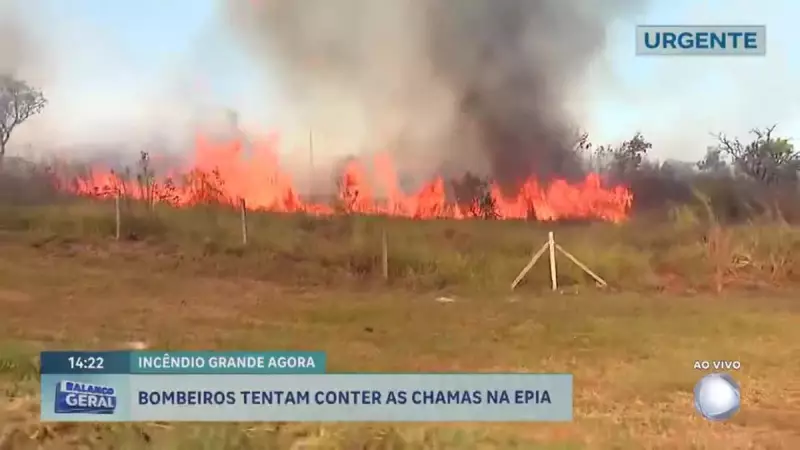 Incêndio florestal próximo à Granja do Torto mobiliza bombeiros em Brasília