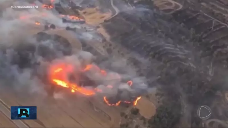 Incêndios florestais na França interrompem operações em aeroporto e causam caos aéreo