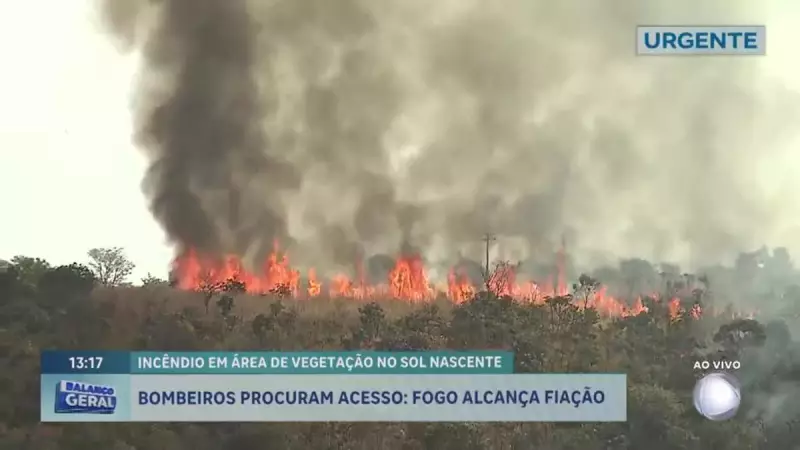 Incêndios florestais no DF: chamas avançam e colocam casas e infraestrutura em risco