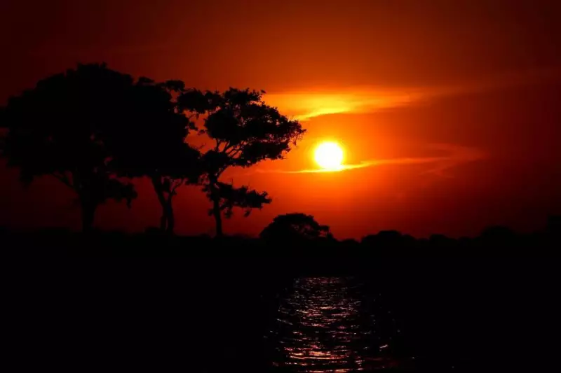 Incêndios na APA Paytuna: Estratégias inovadoras protegem tesouro natural no coração da Amazônia