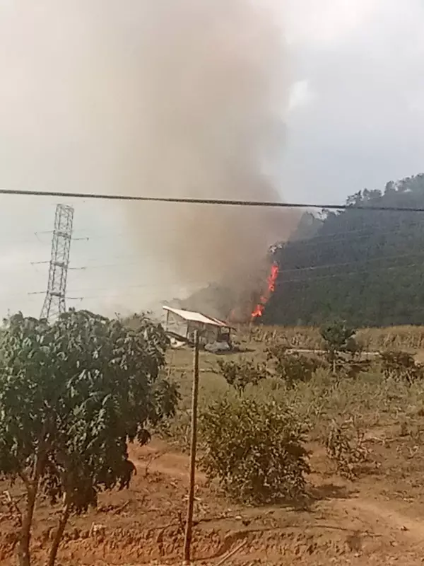 Indígenas alertam sobre focos de incêndio no Pico do Jaraguá, em São Paulo