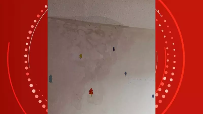 Infiltrações em apartamentos: quem deve arcar com os reparos? Especialista desvenda o dilema condominial