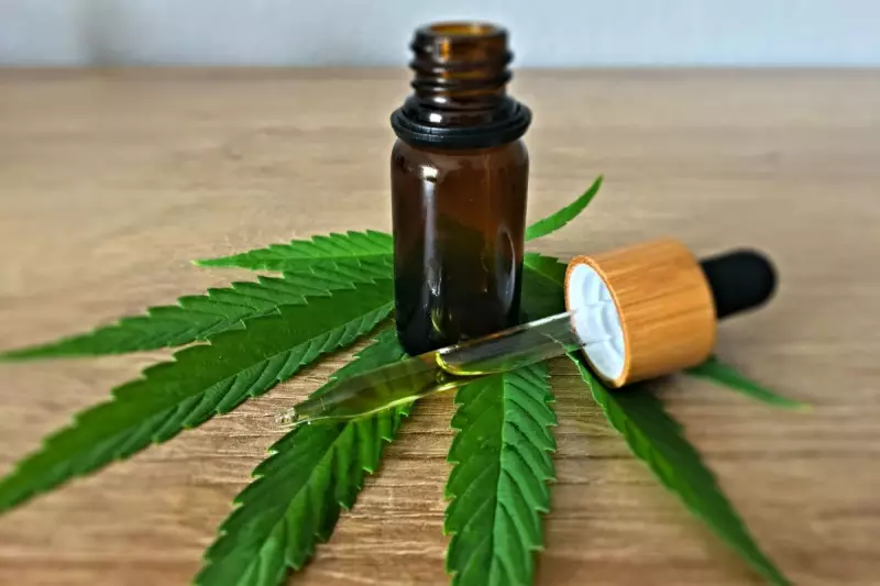 Instituto oferece consultas médicas gratuitas com cannabis medicinal na Baixada Santista