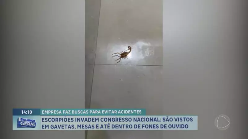 Invasão de escorpiões no Congresso Nacional: dedetização será realizada com urgência