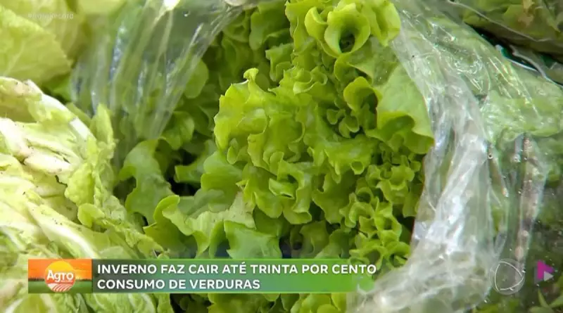 Inverno faz consumo de verduras despencar 30% no interior de SP — entenda o motivo