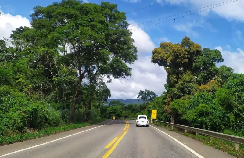 Inverno na Região Serrana do ES: Ônibus extras garantem conforto e segurança aos turistas