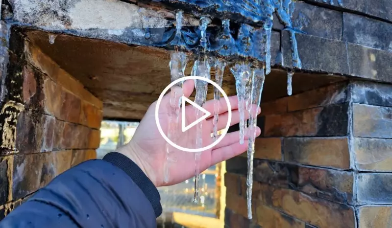 Inverno rigoroso em Santa Catarina: veja as cenas mais impressionantes e inusitadas