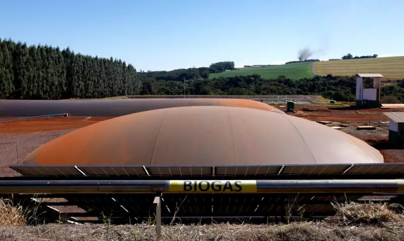 Itaipu e Receita Federal transformam contrabando em energia limpa — veja como