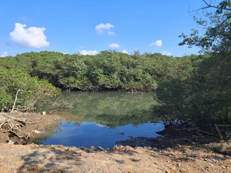 Joinville ganha ponte de R$ 259 milhões para desafogar trânsito e impulsionar desenvolvimento