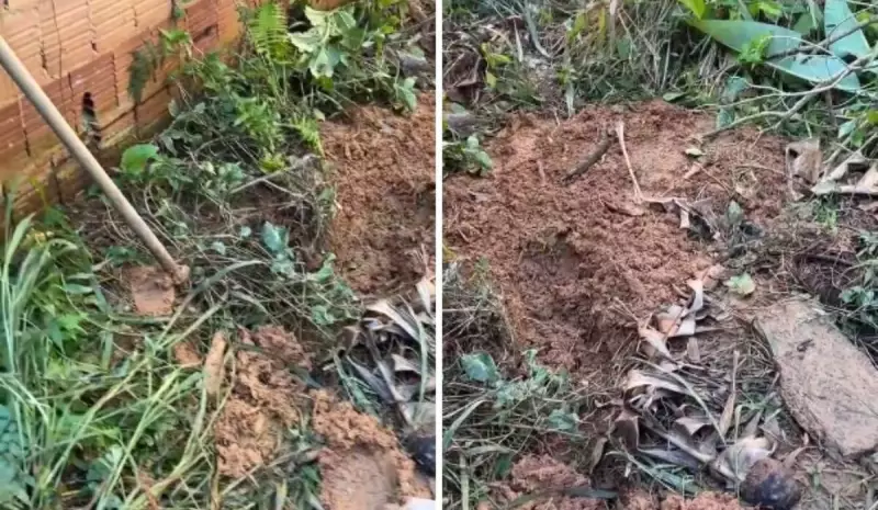 Jovem é decapitada e enterrada no quintal: tia é presa como suspeita do crime chocante