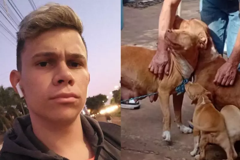 Jovem tem orelha dilacerada e artéria rompida em ataque de pitbulls em MS — e não lembra do ocorrido