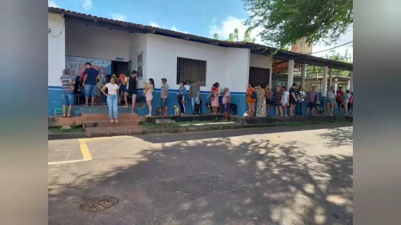 Julho Dourado: Campanha em Santarém garante saúde e bem-estar para mais de 1.300 animais