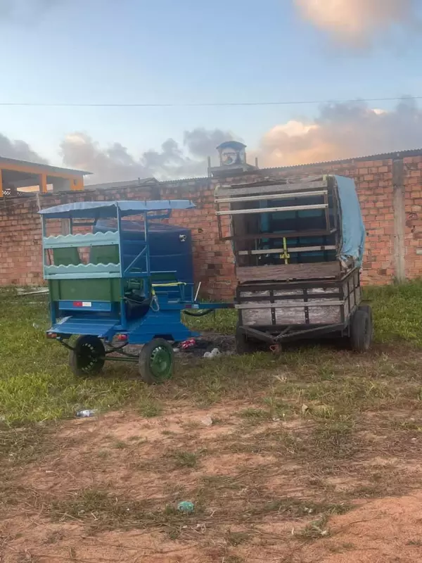 Justiça proíbe carroças com animais na praia de Ajuruteua, em Bragança — entenda a decisão