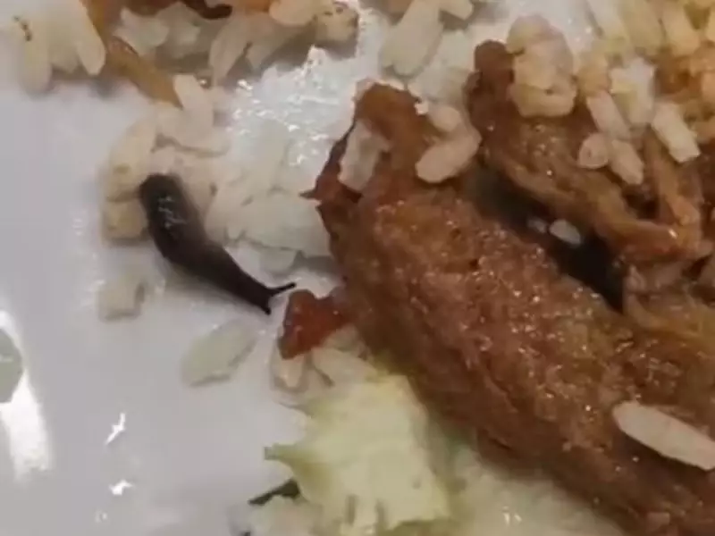 Lesma viva é encontrada em prato de comida servido no CEFET-MG em Divinópolis