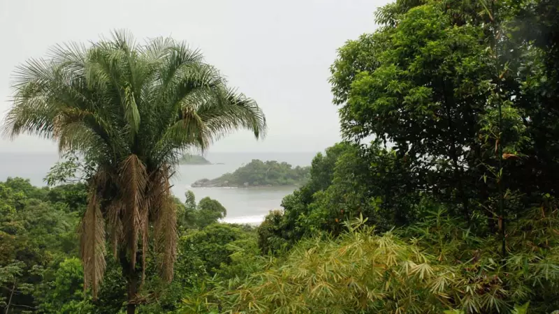 Licenciamento ambiental aprovado: o que muda nas regras e como afeta o desenvolvimento?