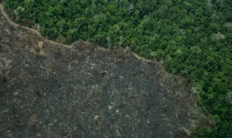 Licenciamento ambiental volta à pauta na Câmara com risco de judicialização — entenda o impasse