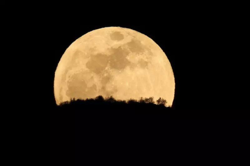 Lua Cheia do Veado ilumina o céu nesta quinta-feira: saiba como observar o fenômeno