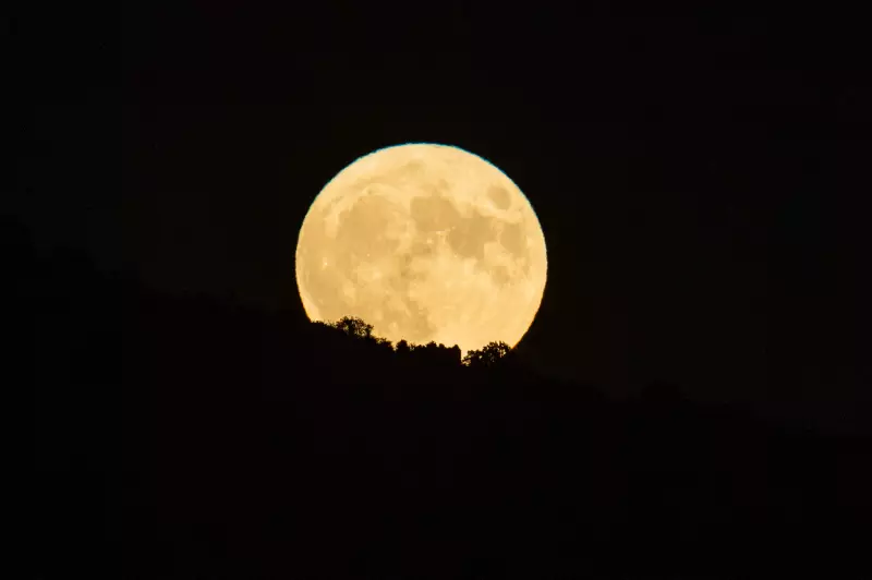 Lua Cheia do Veado: Saiba como observar o fenômeno astronômico desta quinta-feira