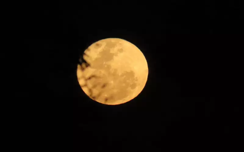 Lua do Veado: Descubra a fascinante história por trás do fenômeno que ilumina o céu uma vez por ano
