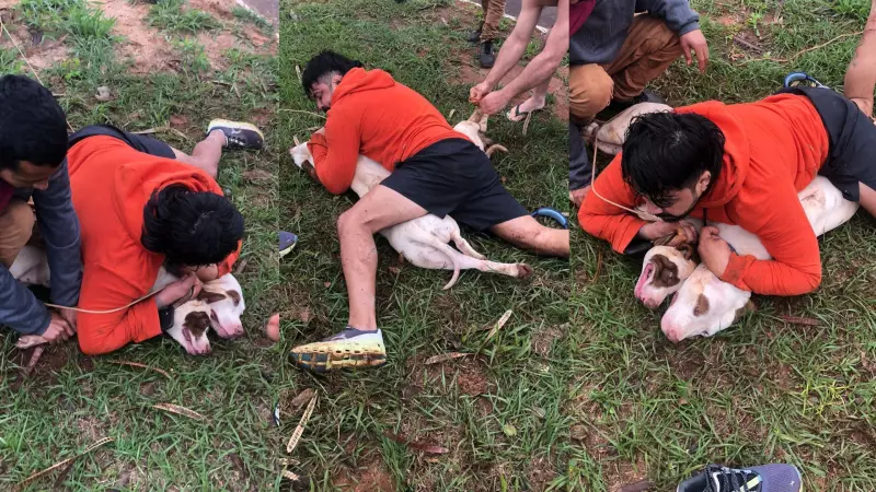 Lutador usa técnicas de Muay Thai e Jiu-Jitsu para imobilizar pitbulls durante ataque em MS
