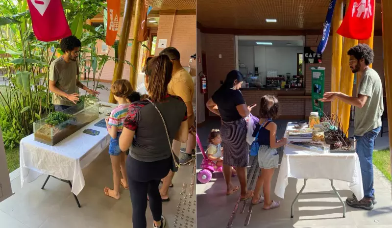 Manguezais Capixabas: Uma Viagem Sensorial pela Biodiversidade Local em Exposição Imperdível