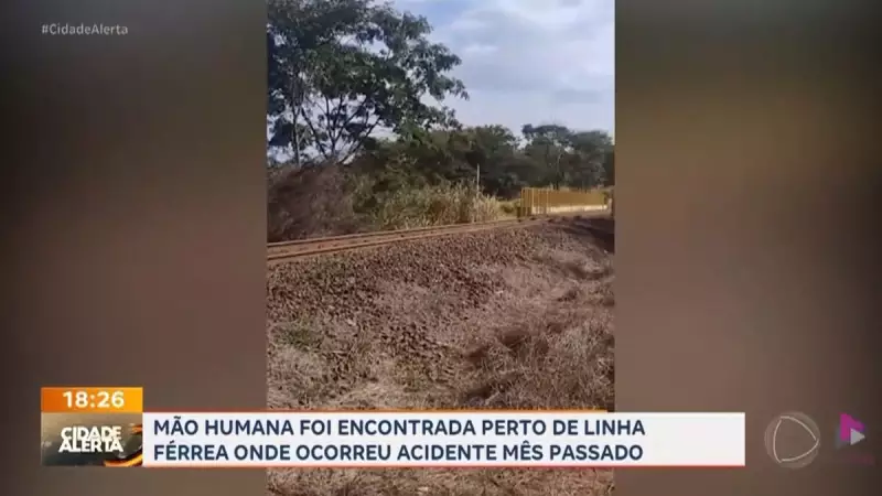 Mão humana é encontrada perto de linha férrea em Cravinhos, SP: Polícia investiga