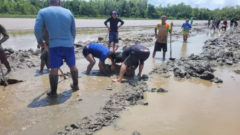 Máquinas chegam ao Bailique para desobstruir canais assoreados no Amapá