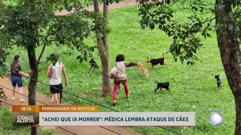 Médica sobrevive a ataque brutal de 10 cães e relata trauma: 'Parecia um pesadelo'
