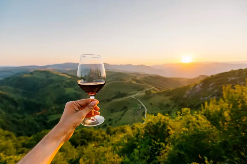 Médicos como vinhos: como tempo e 'terroir' transformam profissionais em mestres da medicina