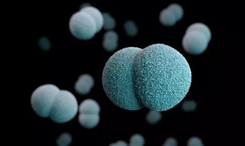 Meningite: entenda a doença, sintomas e como se proteger