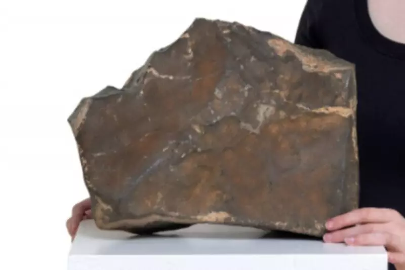 Meteorito de Marte mais valioso da Terra será leiloado por até R$ 22 milhões